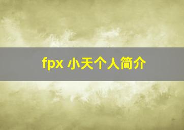 fpx 小天个人简介